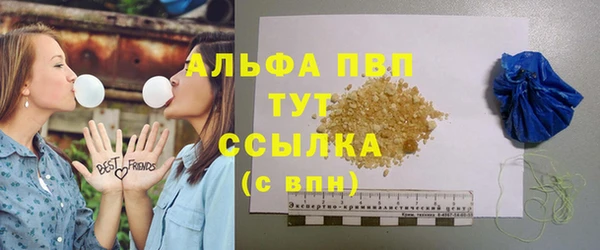 кокс Касимов